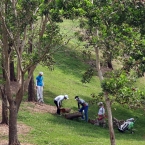 lee and wannasiri in rough area hole 14